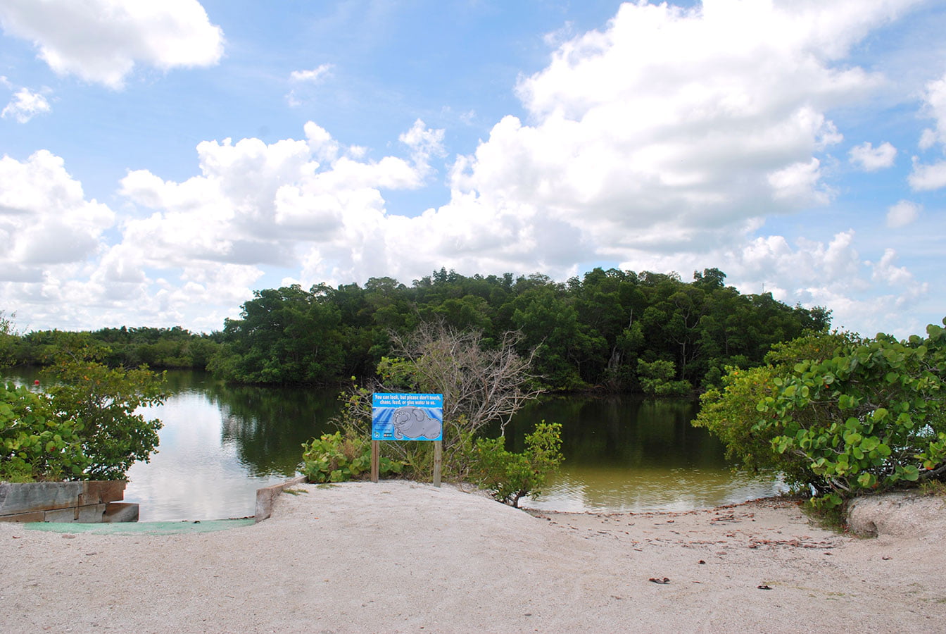 canoe and kayak rentals in fort myers beach