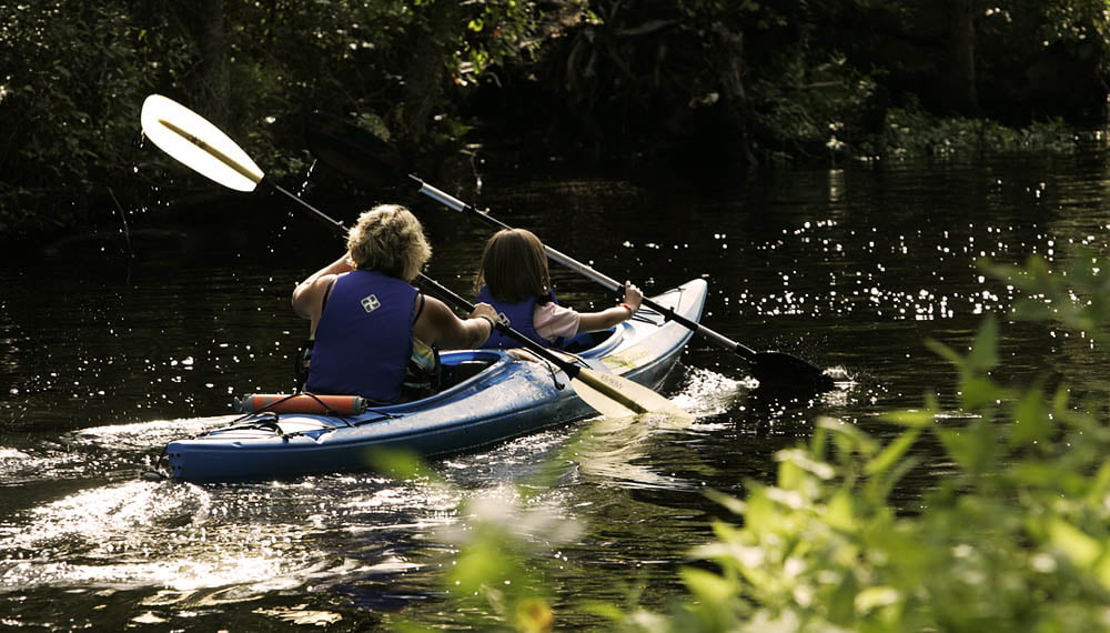 Kayaking In Lover’s Key