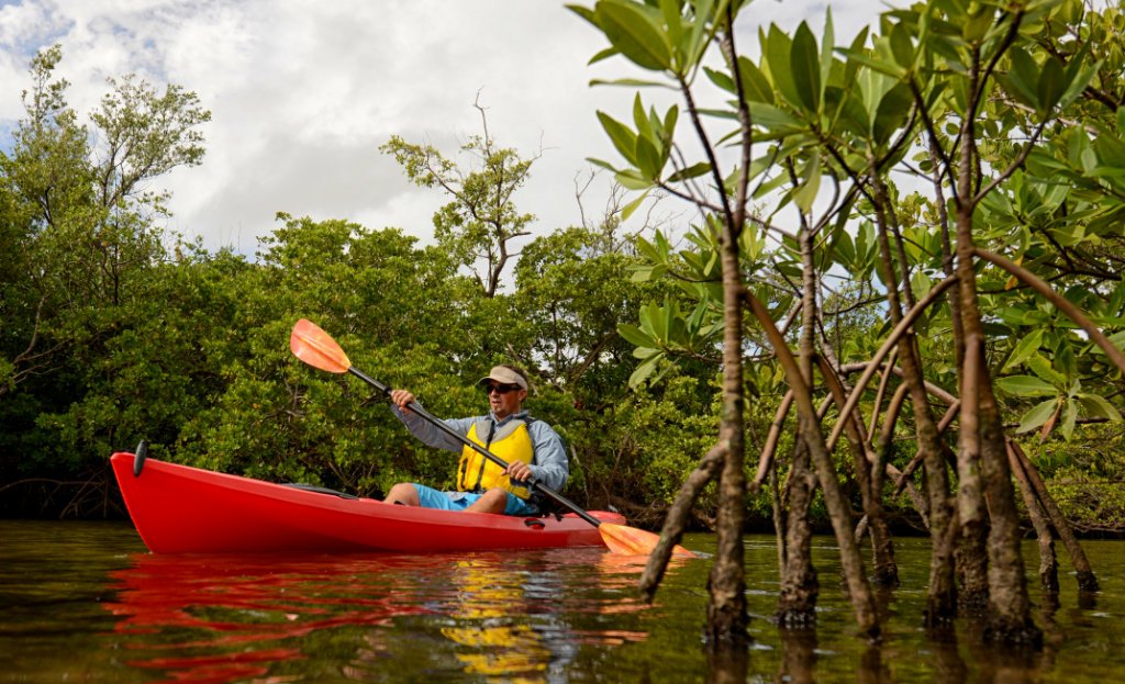 Renting A Kayak? 4 Questions To Ask To Fill Your Kayak Rental Experience With Adventure