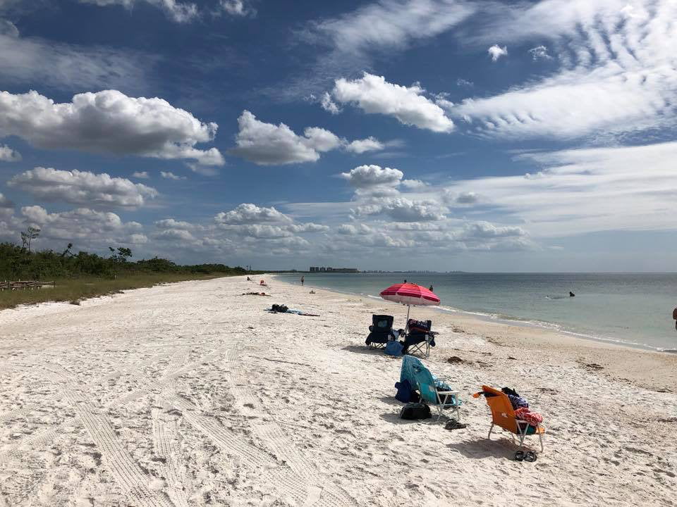 Dig Into the Natural World at Lovers Key, Florida!