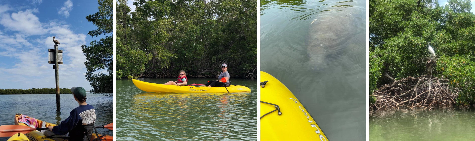What Is Kayaking? Best Season And Location In Southwest Florida