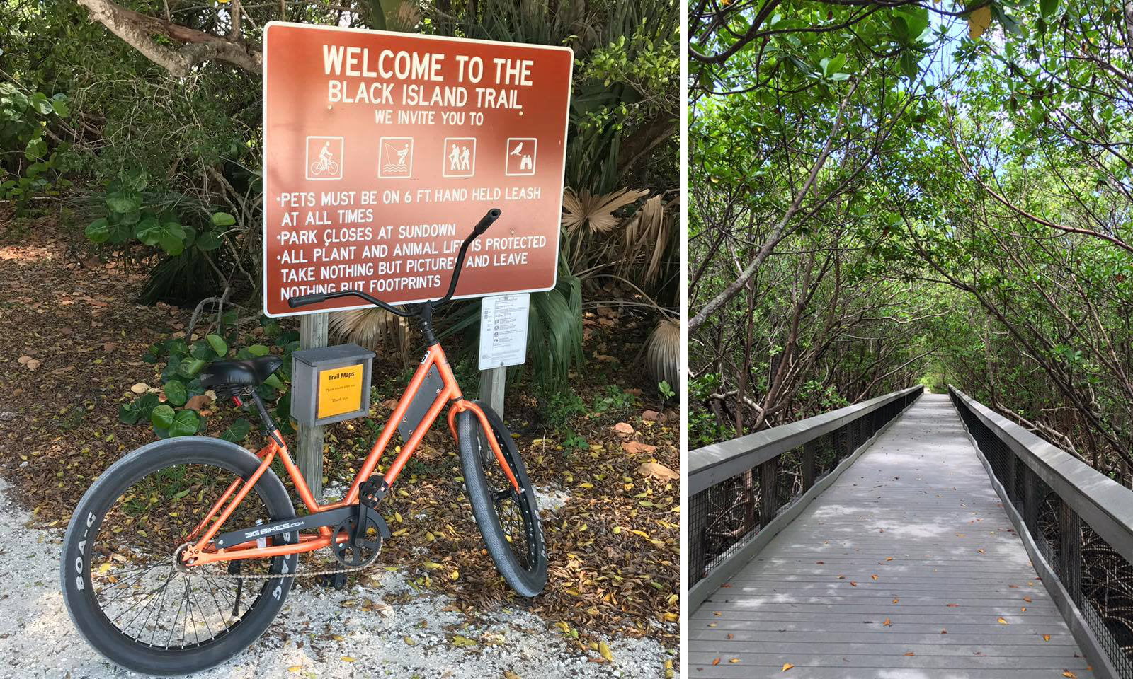 Why Should You Start Cycling by the Beach?