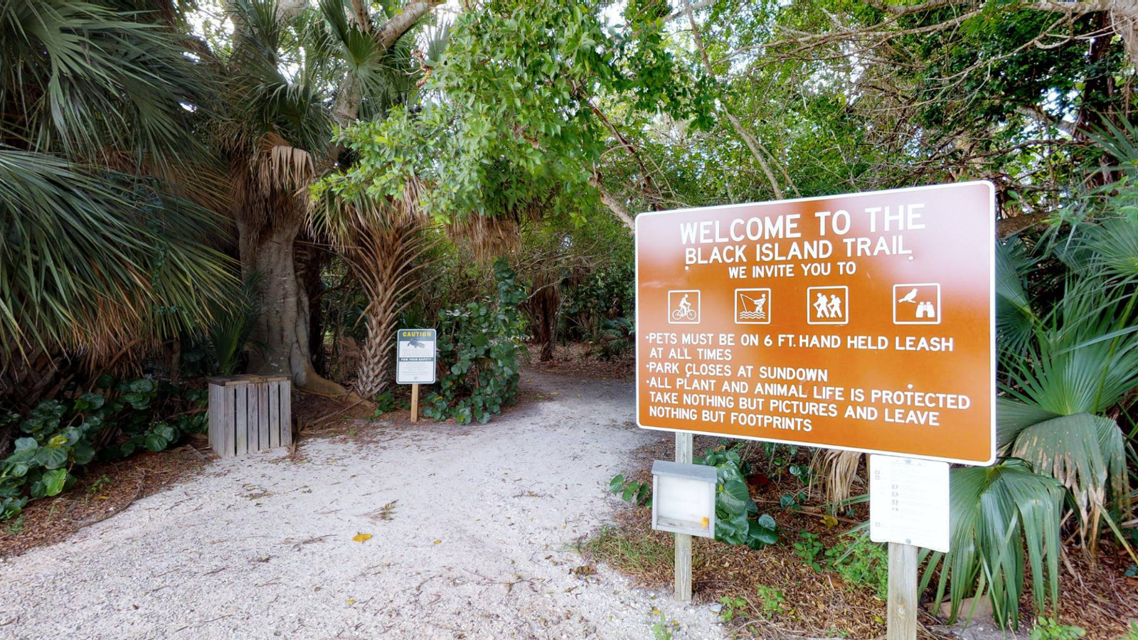 Follow These Tips When Bringing Your Dog to Lovers Key Park