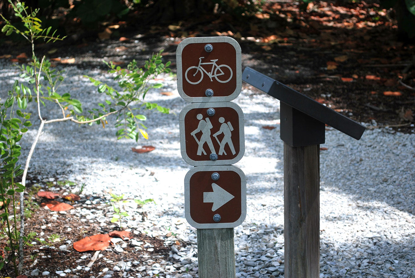 Hiking and Biking At Lovers Key: The Best Time To Go