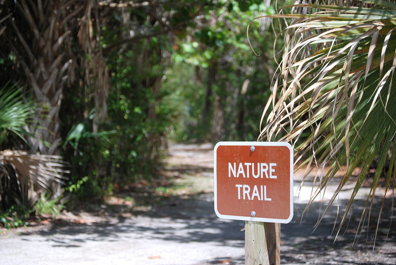 Explore Florida's Beauty: Hike Trails in Lovers Key State Park