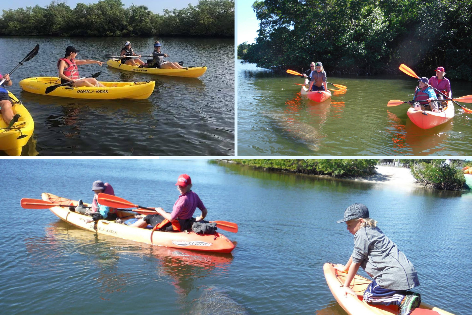 Why You Need a Local Kayak Tour Guide in Lovers Key