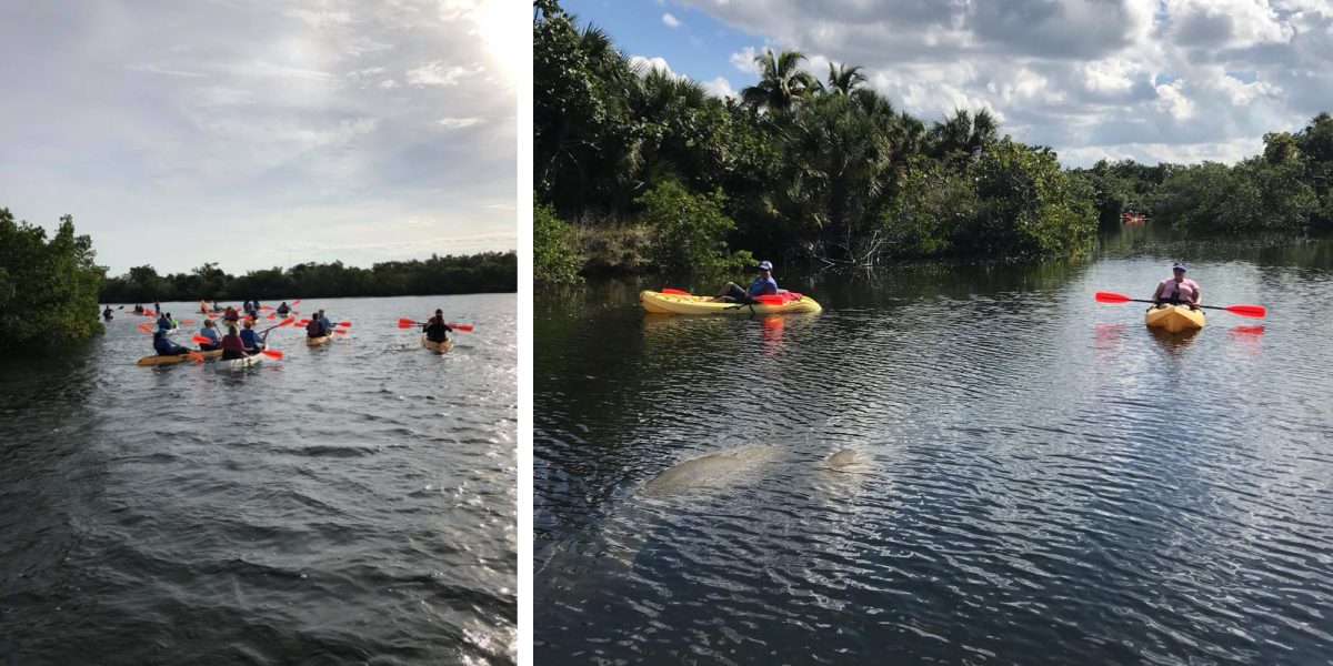 5 Questions To Prepare You for Fort Myers Kayak Tours