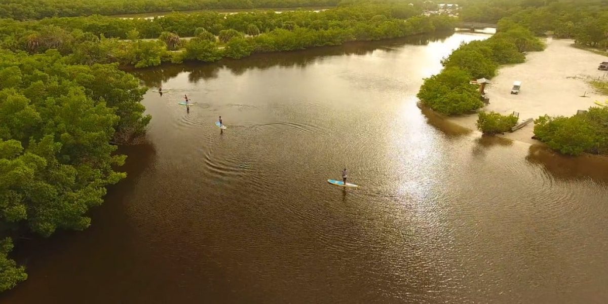 A Beginner's Guide to Stand up Paddle Boarding in Lover's Key