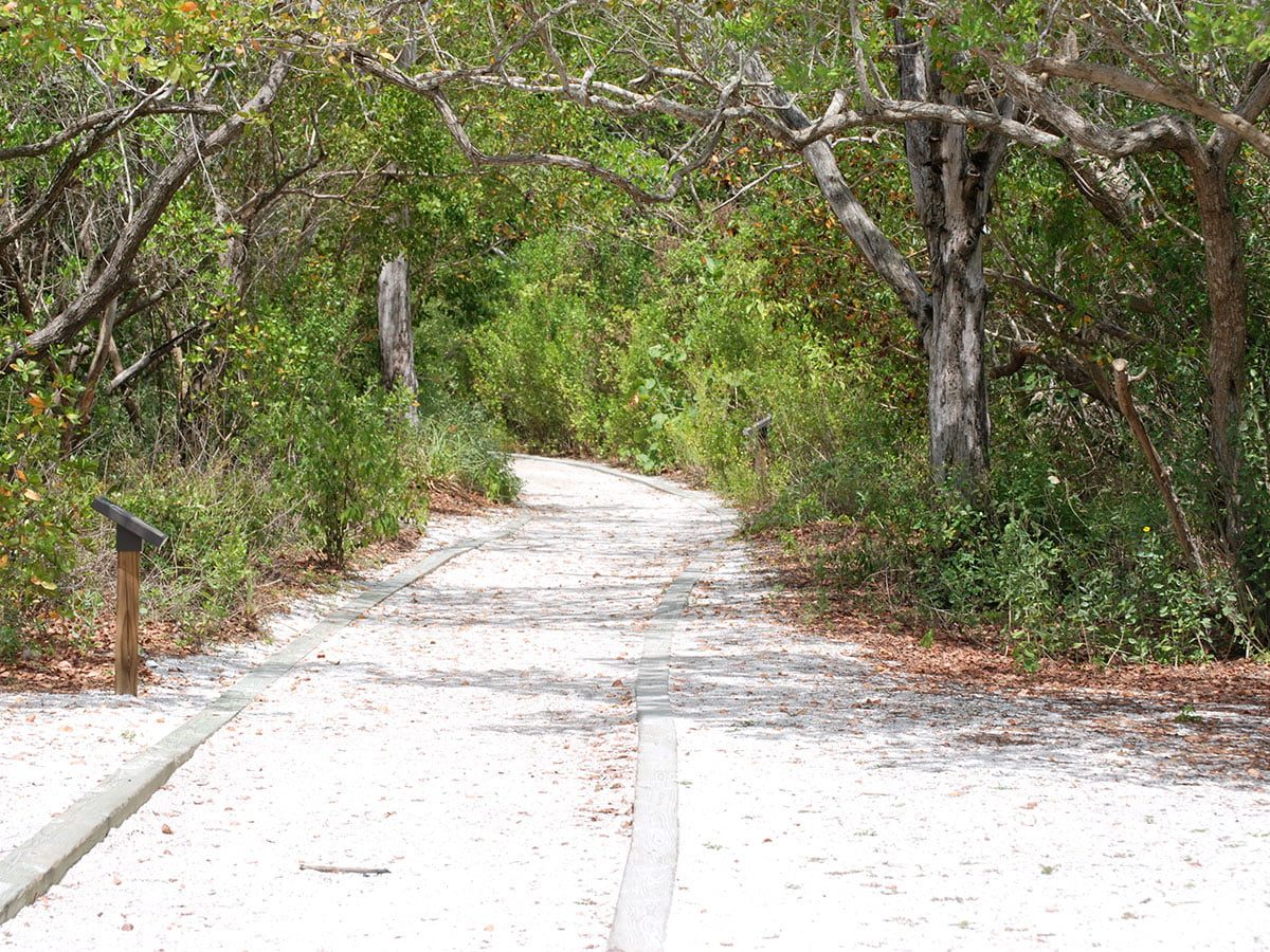 Beautiful Florida Estuary Trail