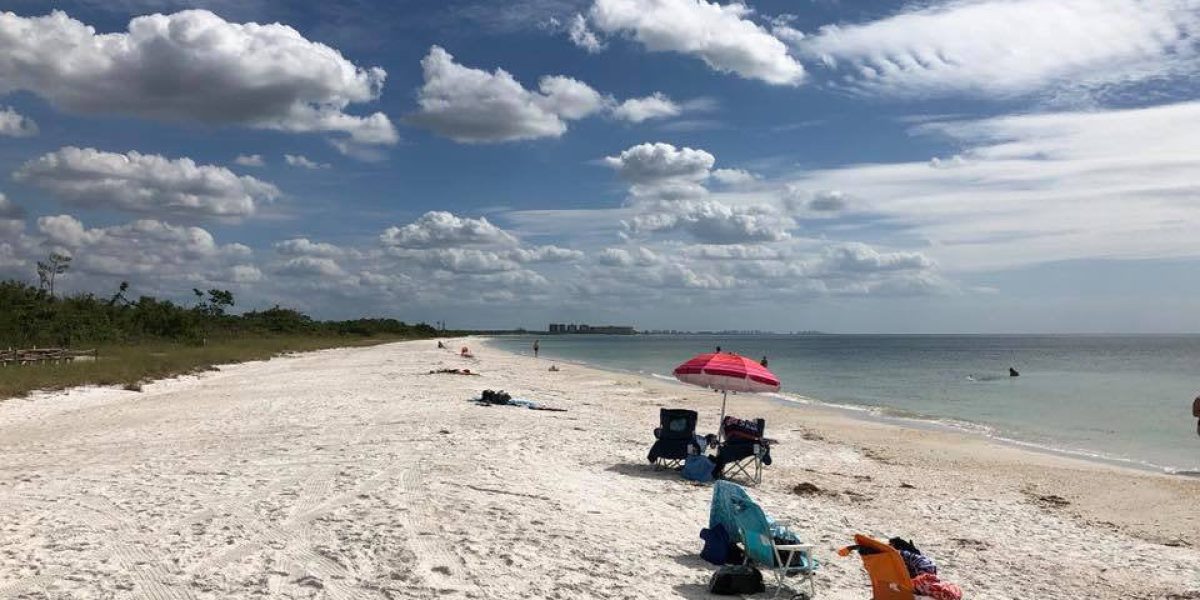 Dig Into the Natural World at Lovers Key, Florida!