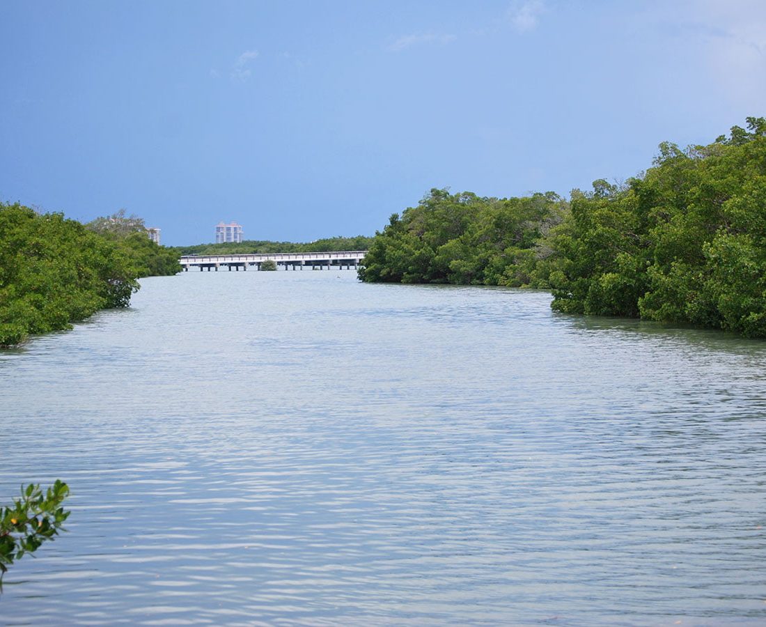 Estero Bay Scenery