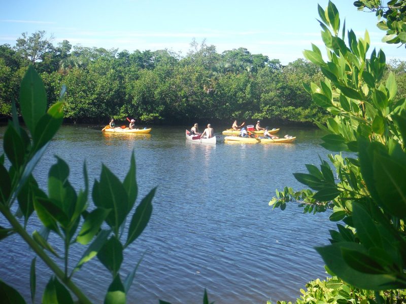 Estuary Tour Lovers Key