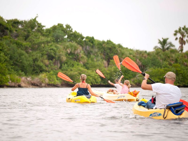 Family Kayak Tours Florida