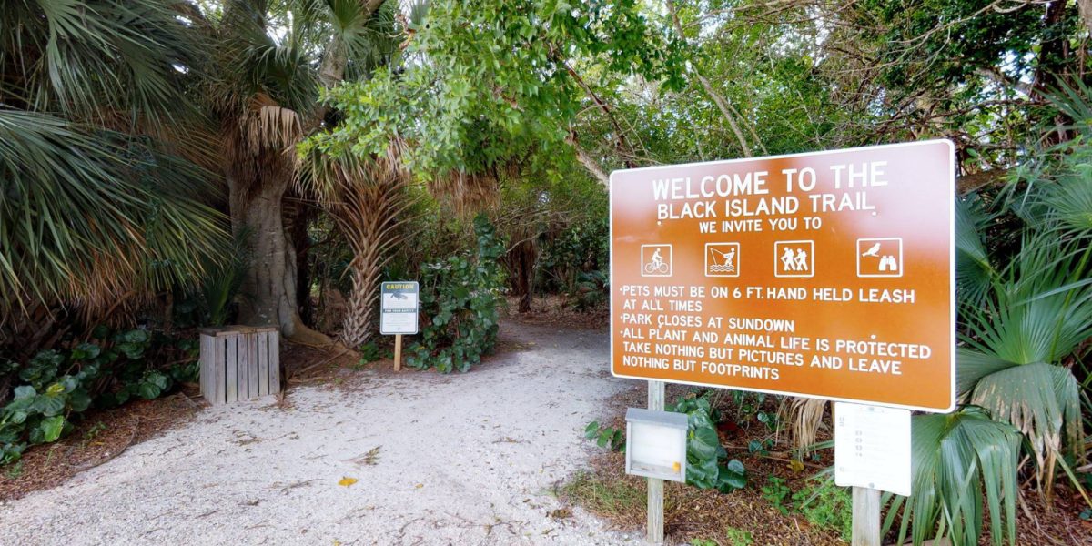 Follow These Tips When Bringing Your Dog to Lovers Key Park