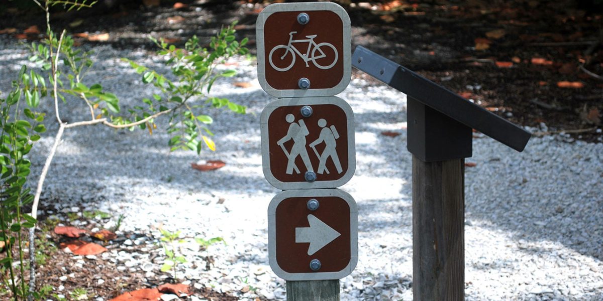 Hiking and Biking At Lovers Key: The Best Time To Go