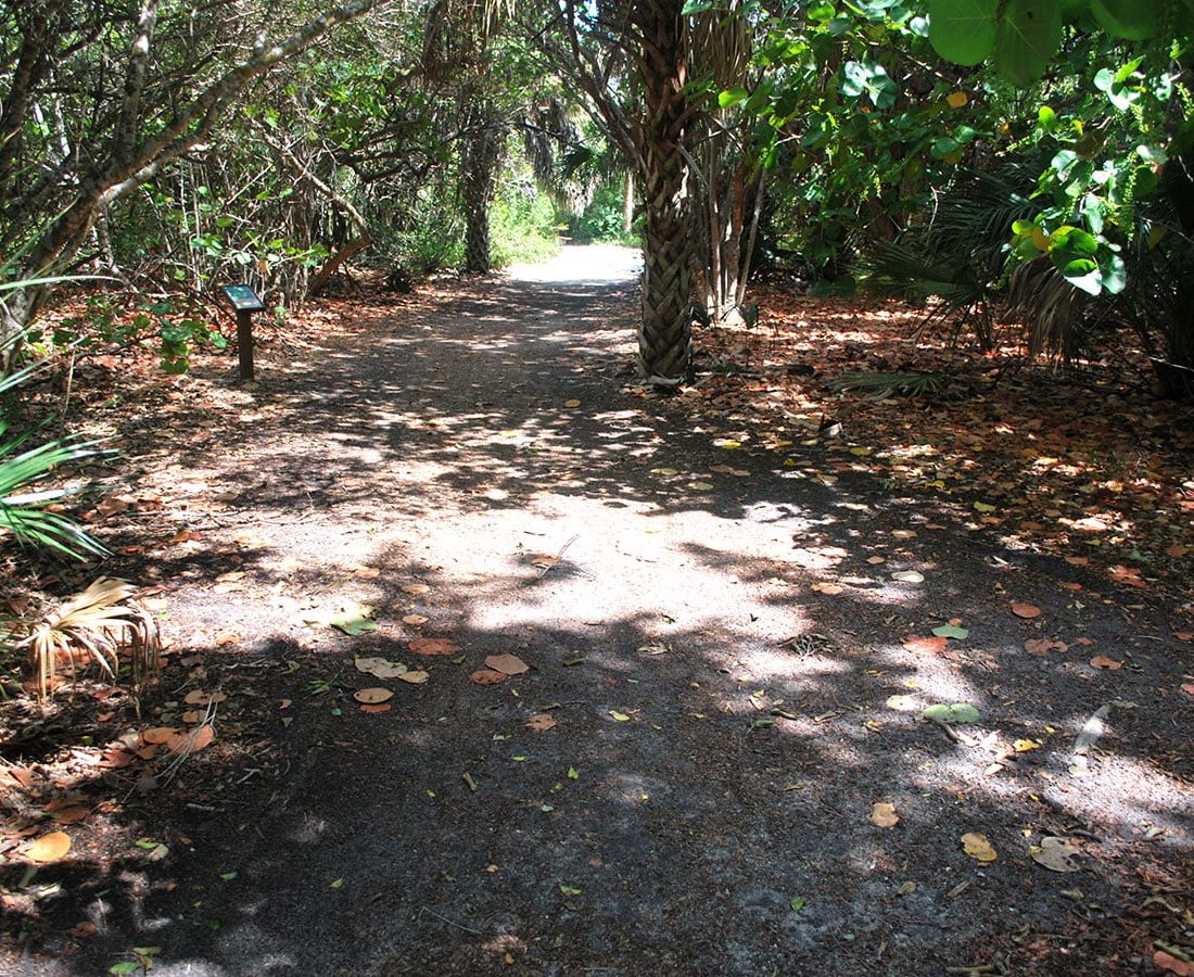 Hiking and Biking Trails in Florida