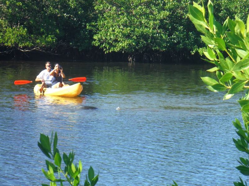 Kayak Tours Fort Myers Beach