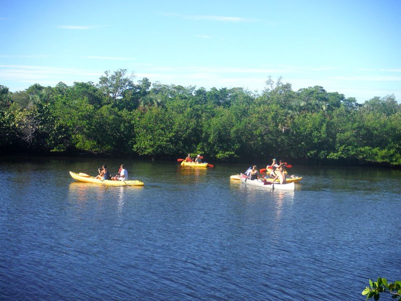 Kayak Tours Lovers Key