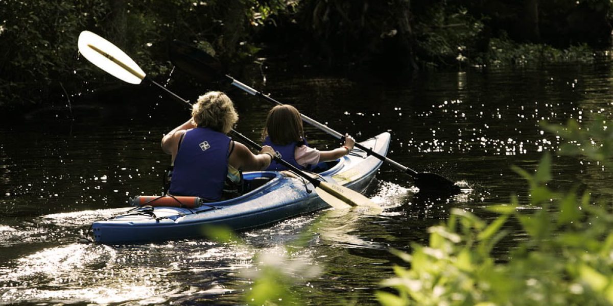 Kayaking In Lover’s Key