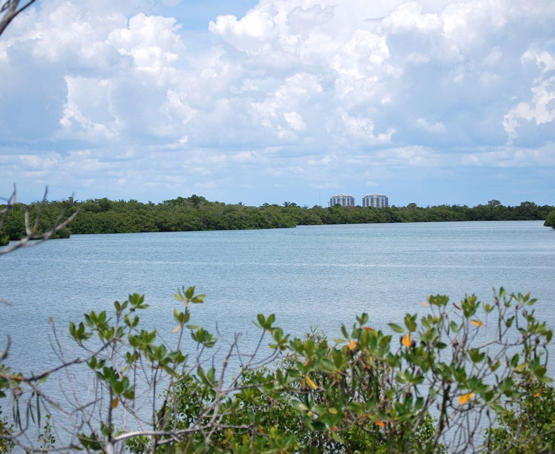 Lovers Key Estuaries