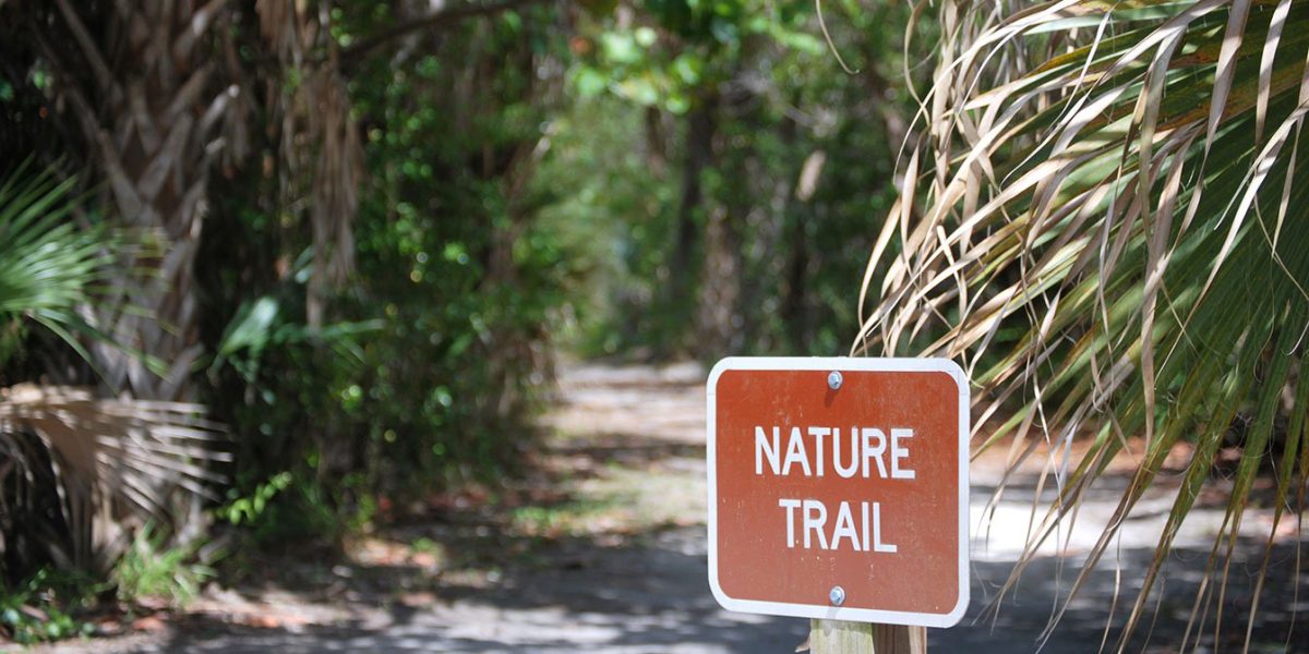 Explore Florida's Beauty: Hike Trails in Lovers Key State Park