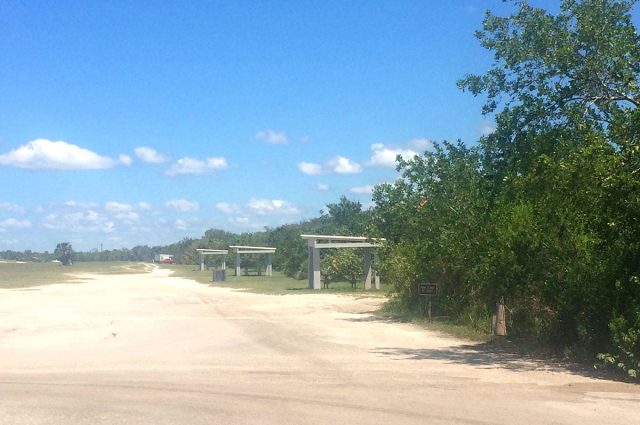 Lovers Key Picnic and Parking East of Estero Blvd