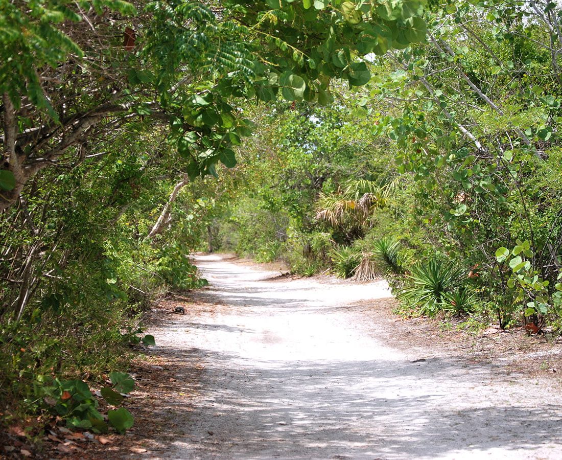 Must See Florida State Parks