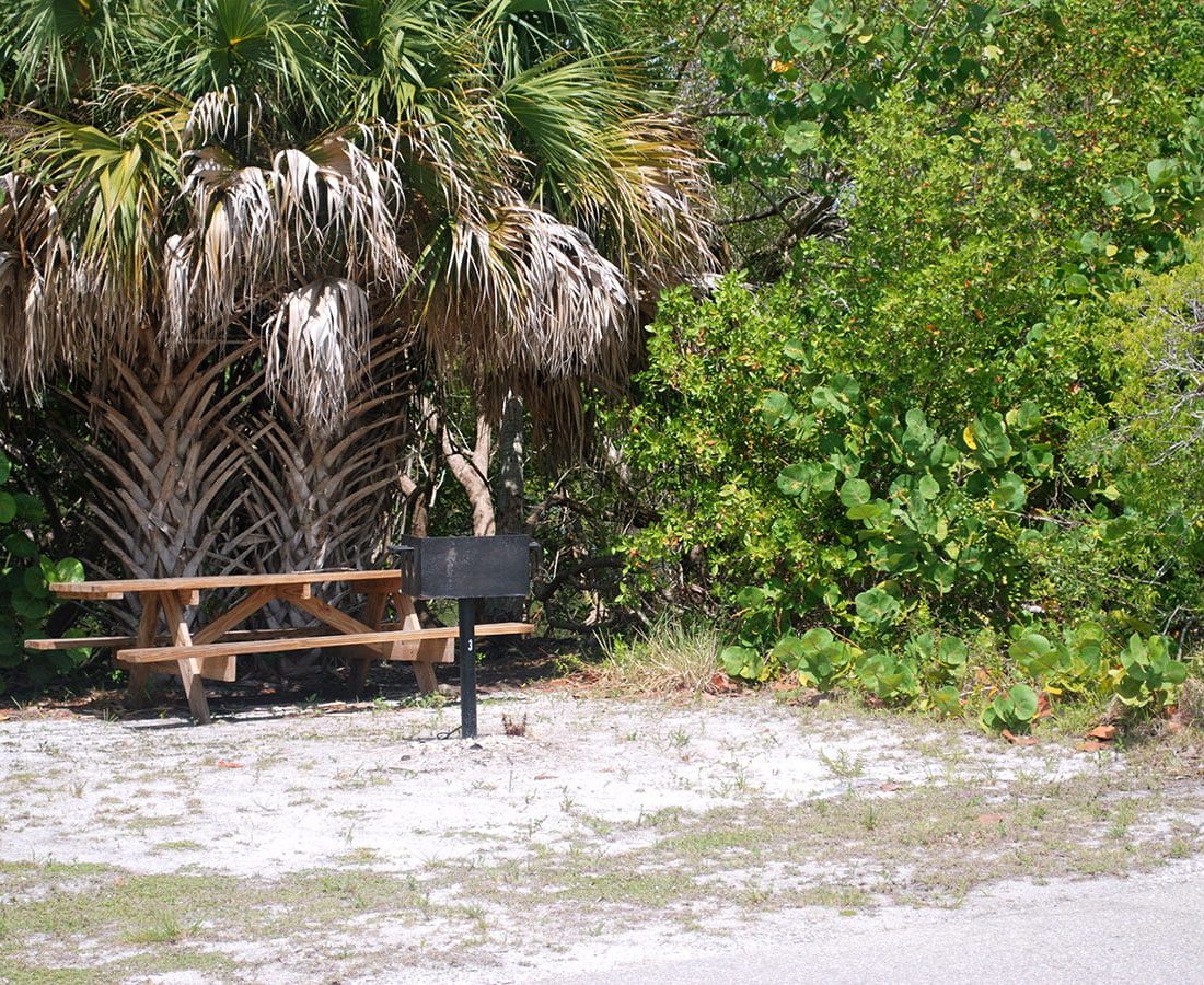 Picnic Areas Fort Myers Beach