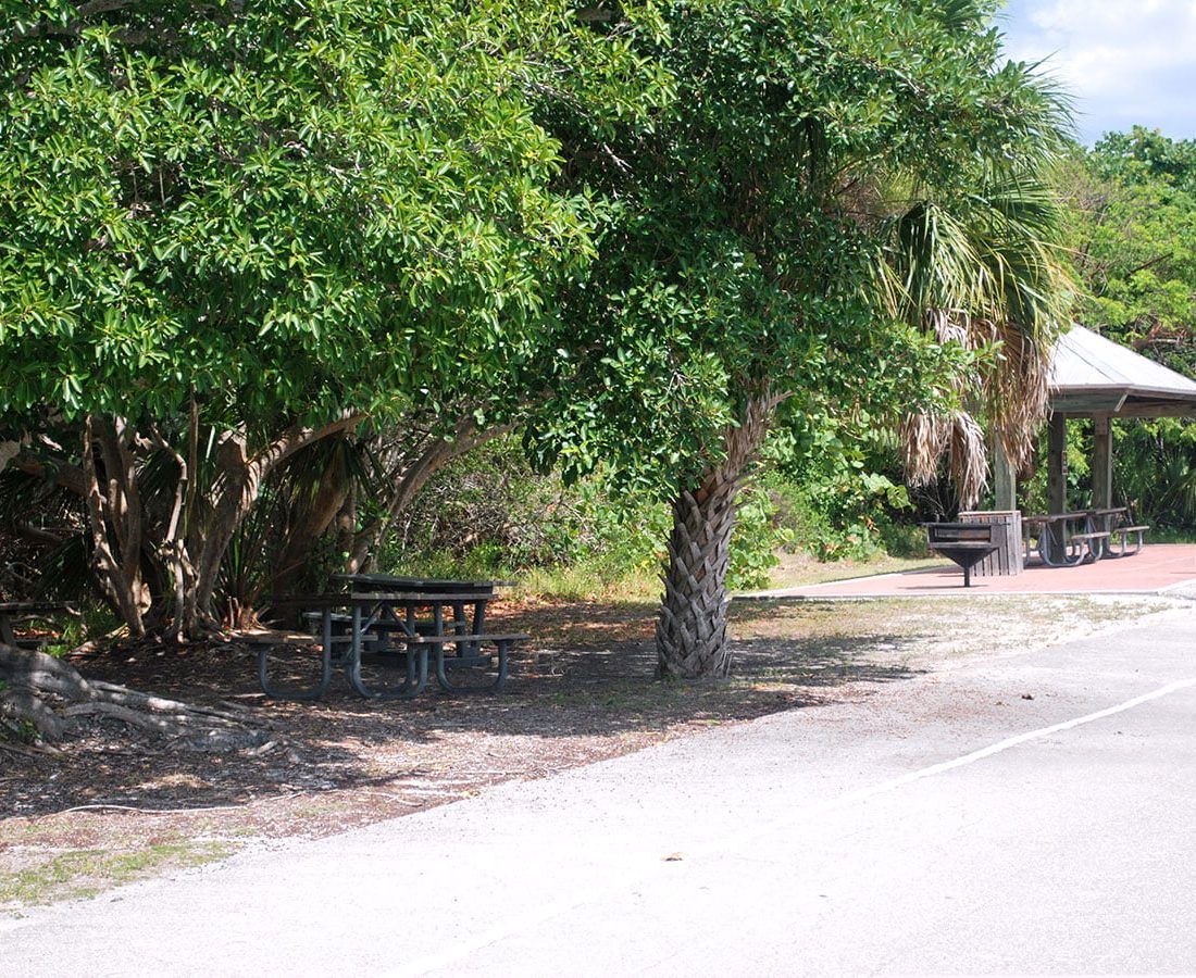 Picnic Areas in Southwest Florida