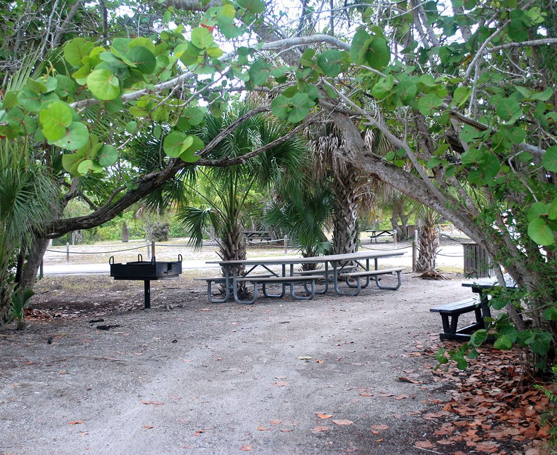Picnic Barbeque in Lovers Key