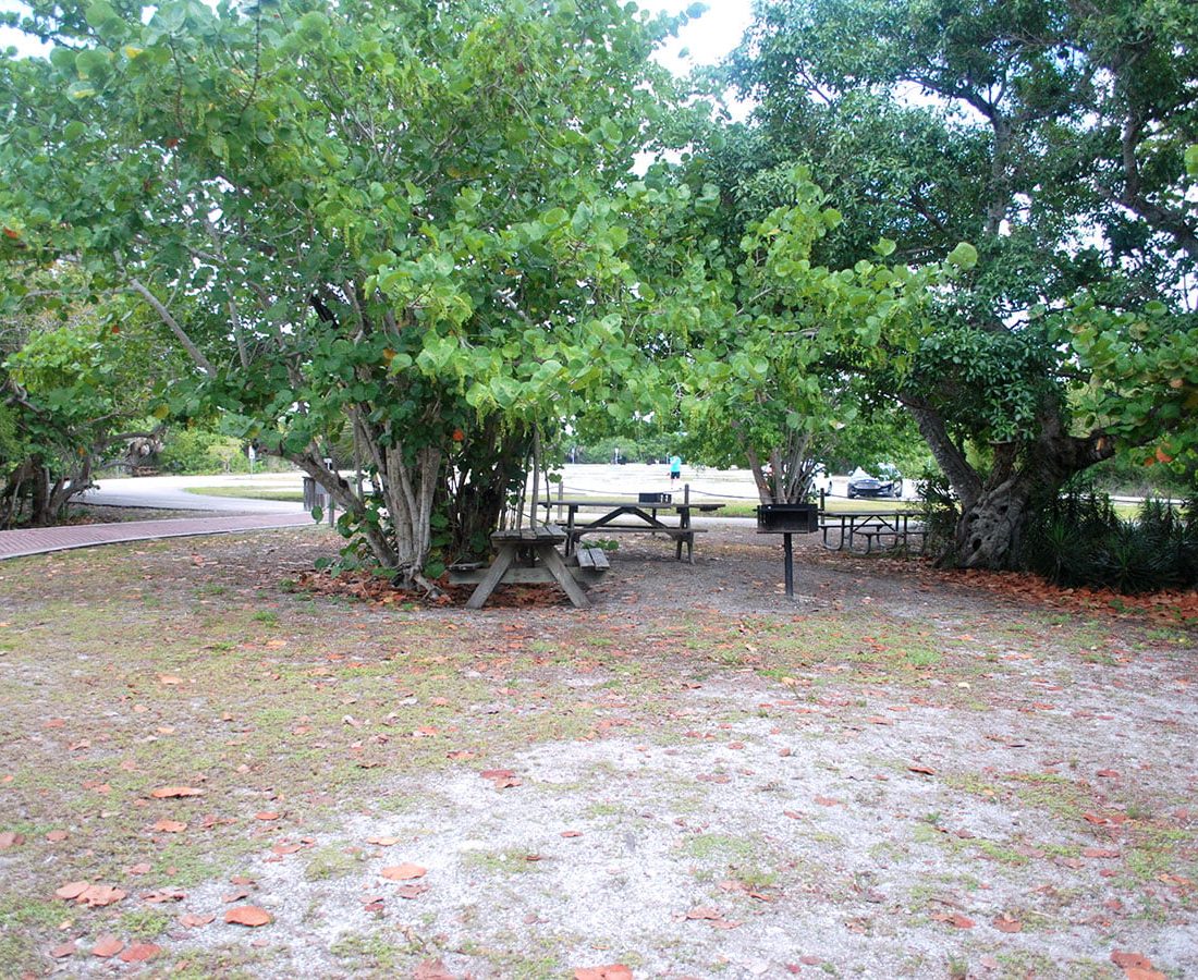 Picnic and BBQ Spots in Lovers Key