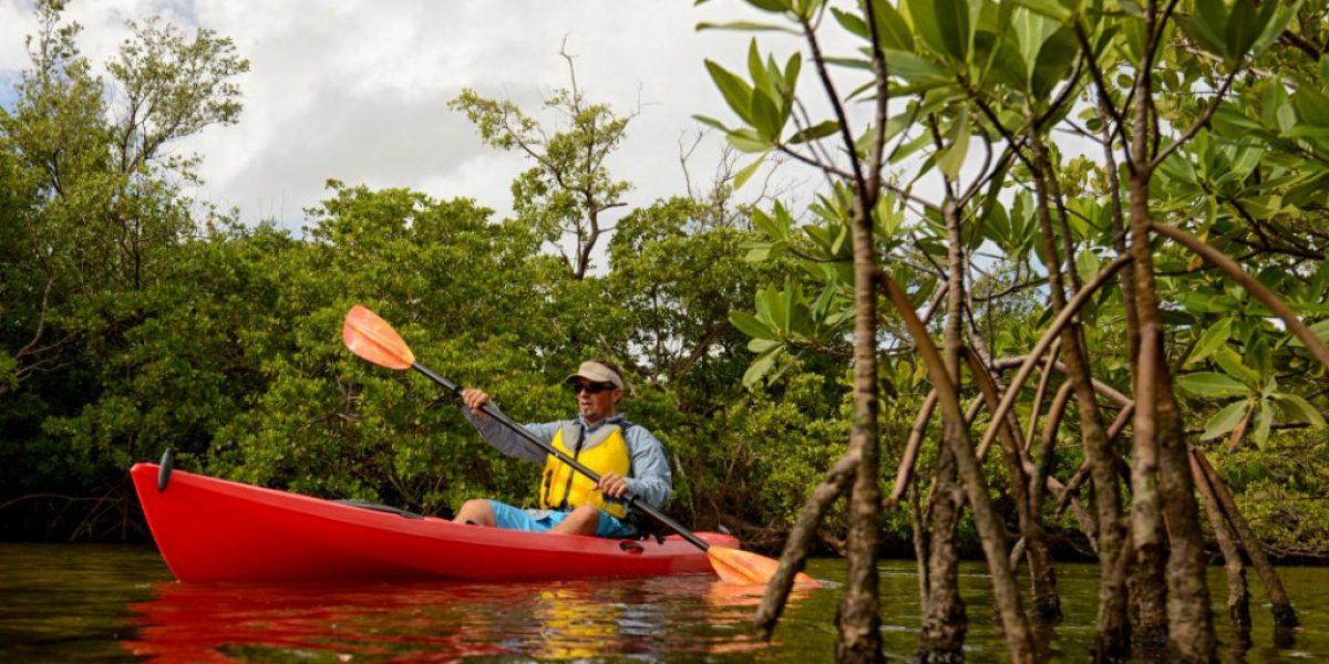 Renting A Kayak? 4 Questions To Ask To Fill Your Kayak Rental Experience With Adventure