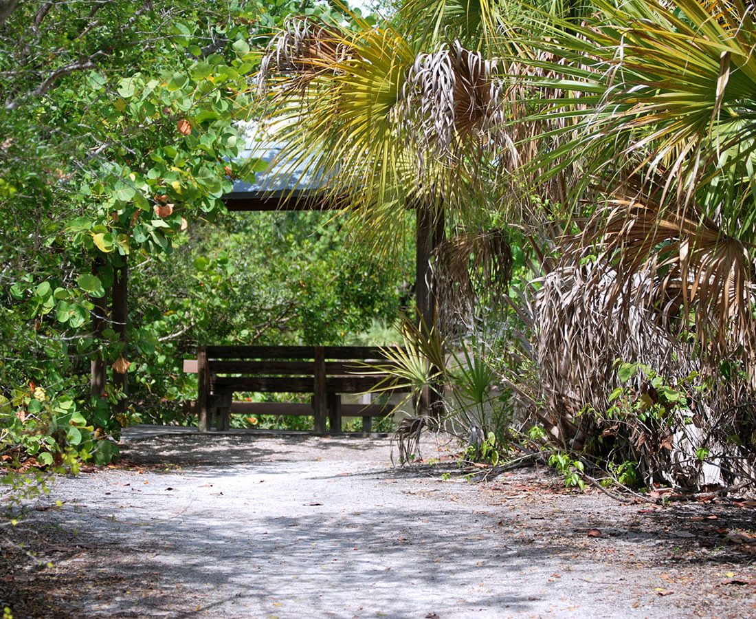 Scenic Outlook at Lovers Key State Park