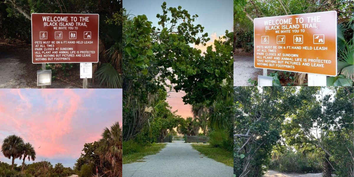 The 6 Best Trails For Biking And Hiking On Fort Myers Beach (1)