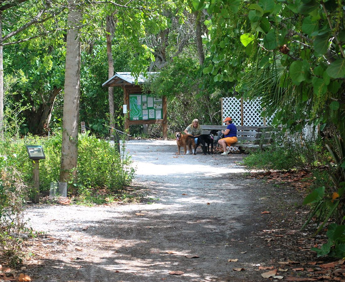 Walk Your Dog Fort Myers Beach Trails