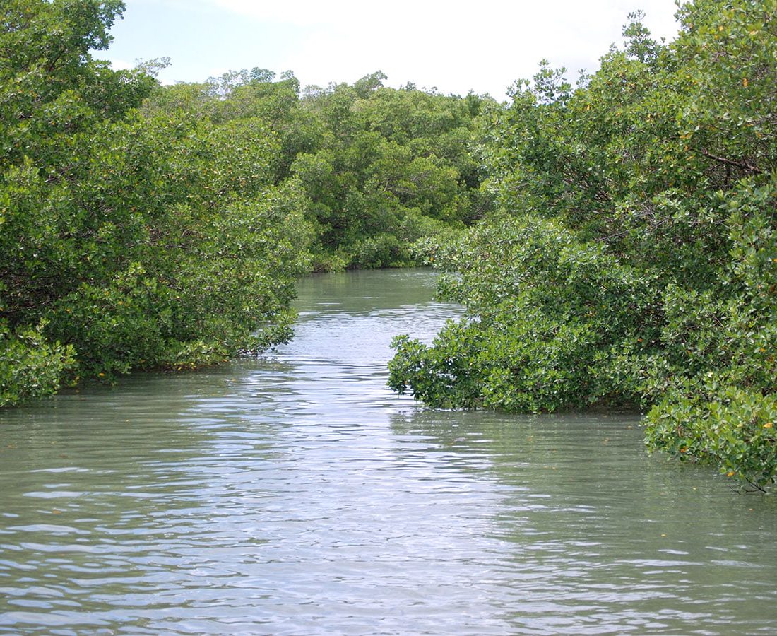 Water Trails in Lovers Key State Park