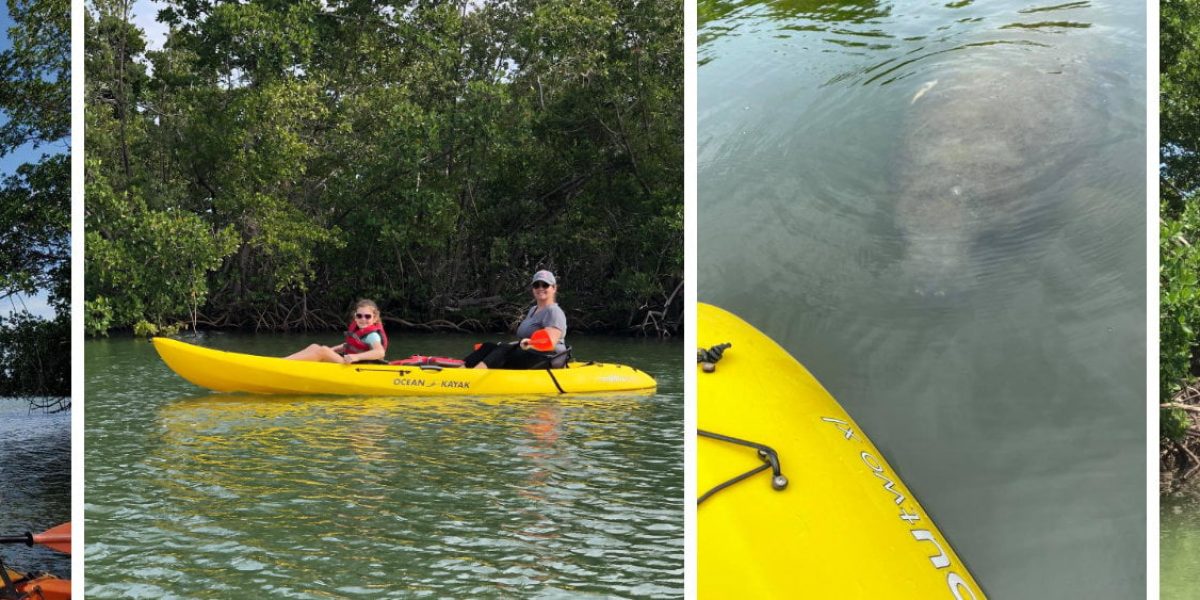 What Is Kayaking? Best Season And Location In Southwest Florida