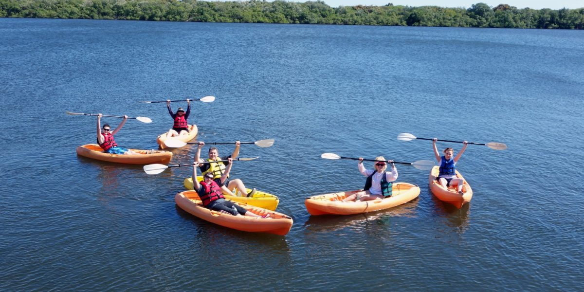 What to Expect From Guided Kayak Tours at Lovers Key State Park