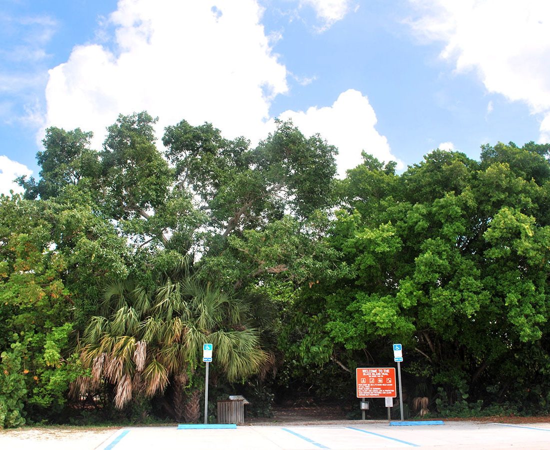 Where to Go Fort Myers Beach