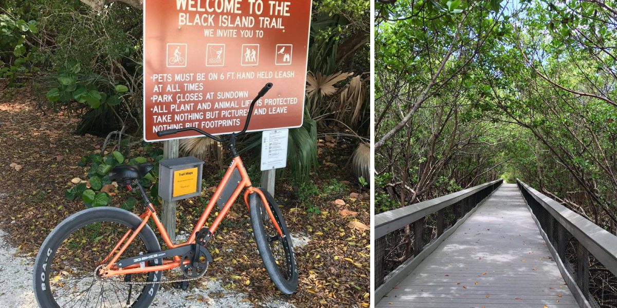 Why Should You Start Cycling by the Beach?