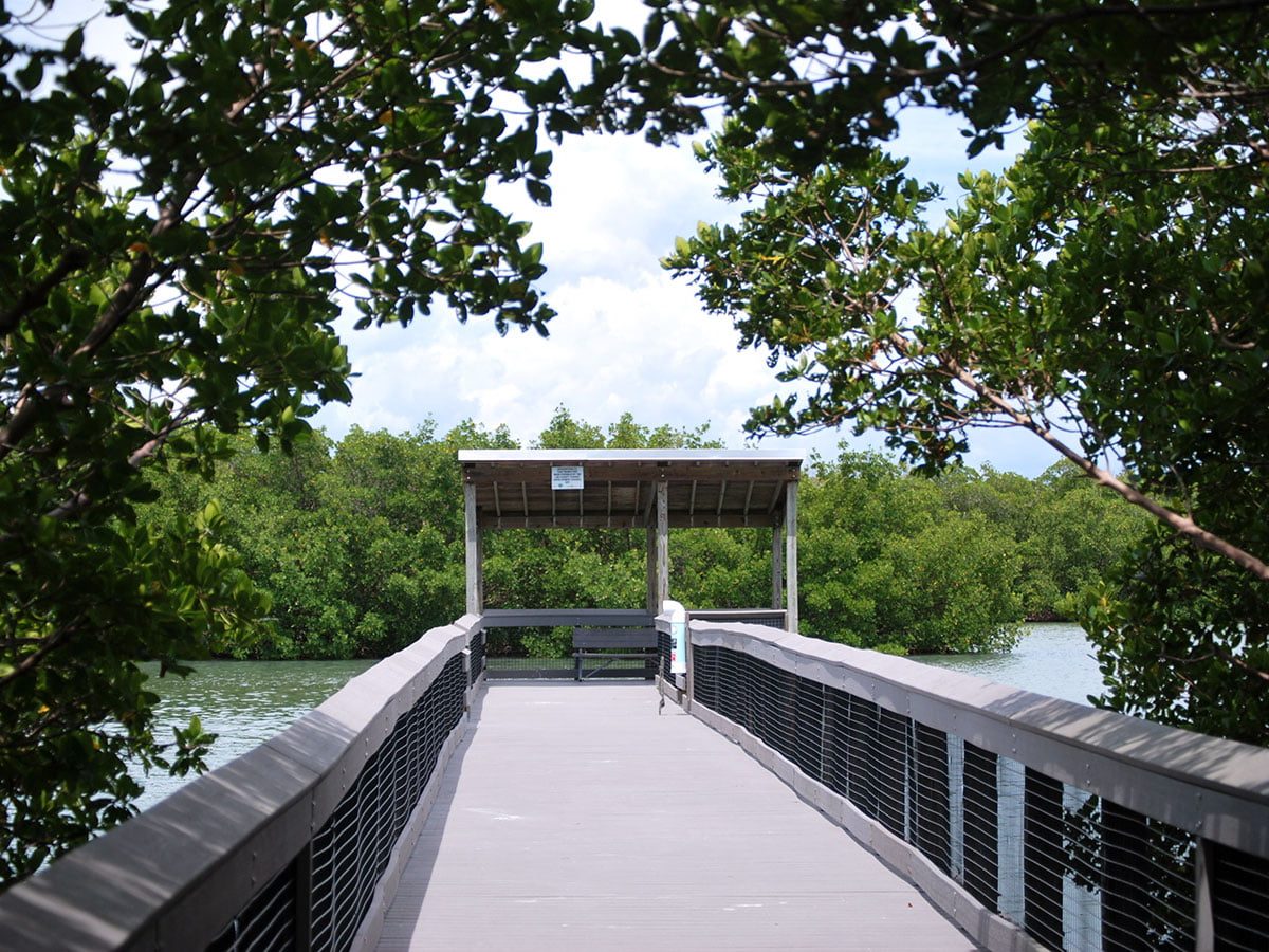 fishing Pier By The Beach