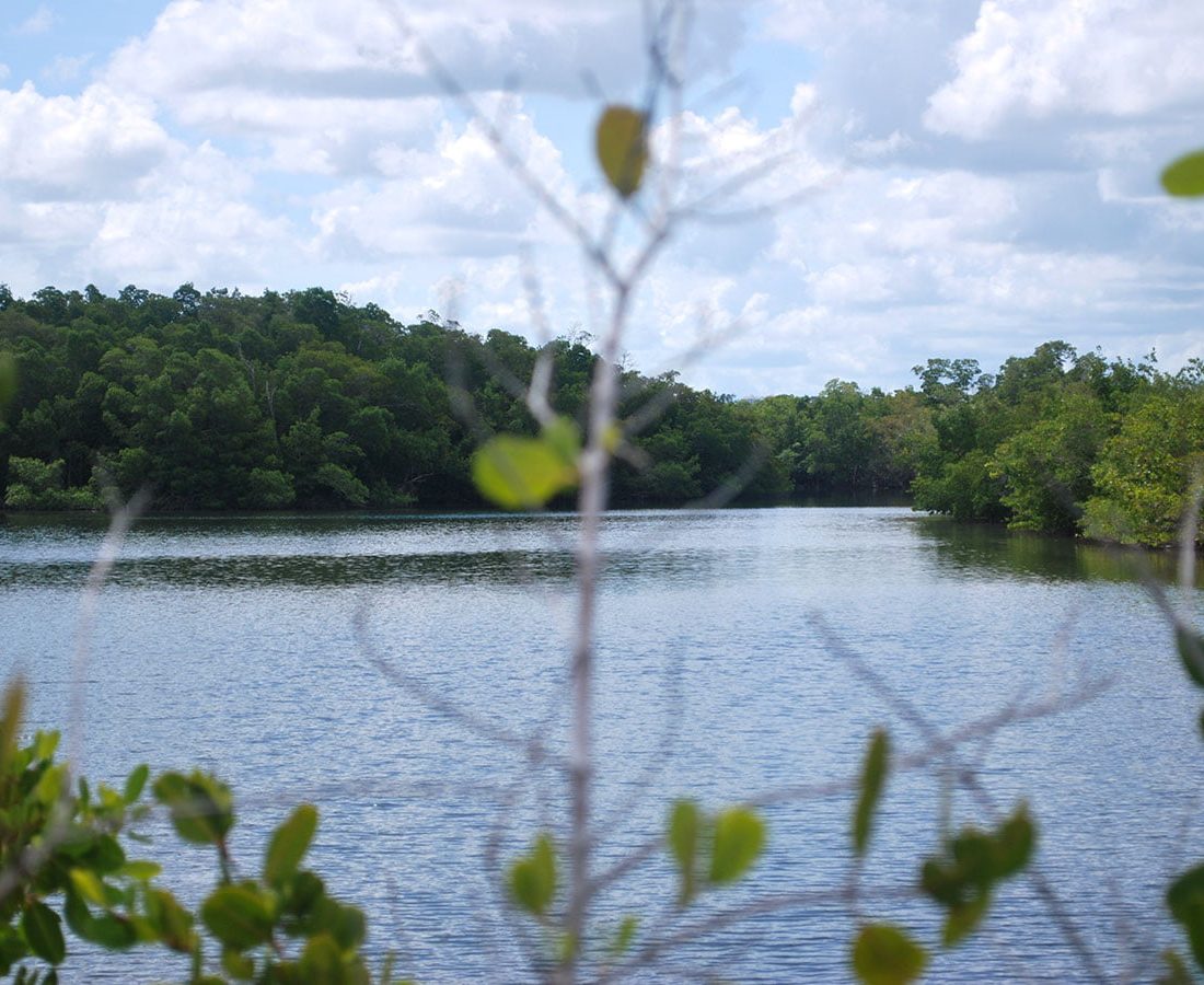 kayaking-waterways-of-lovers-key