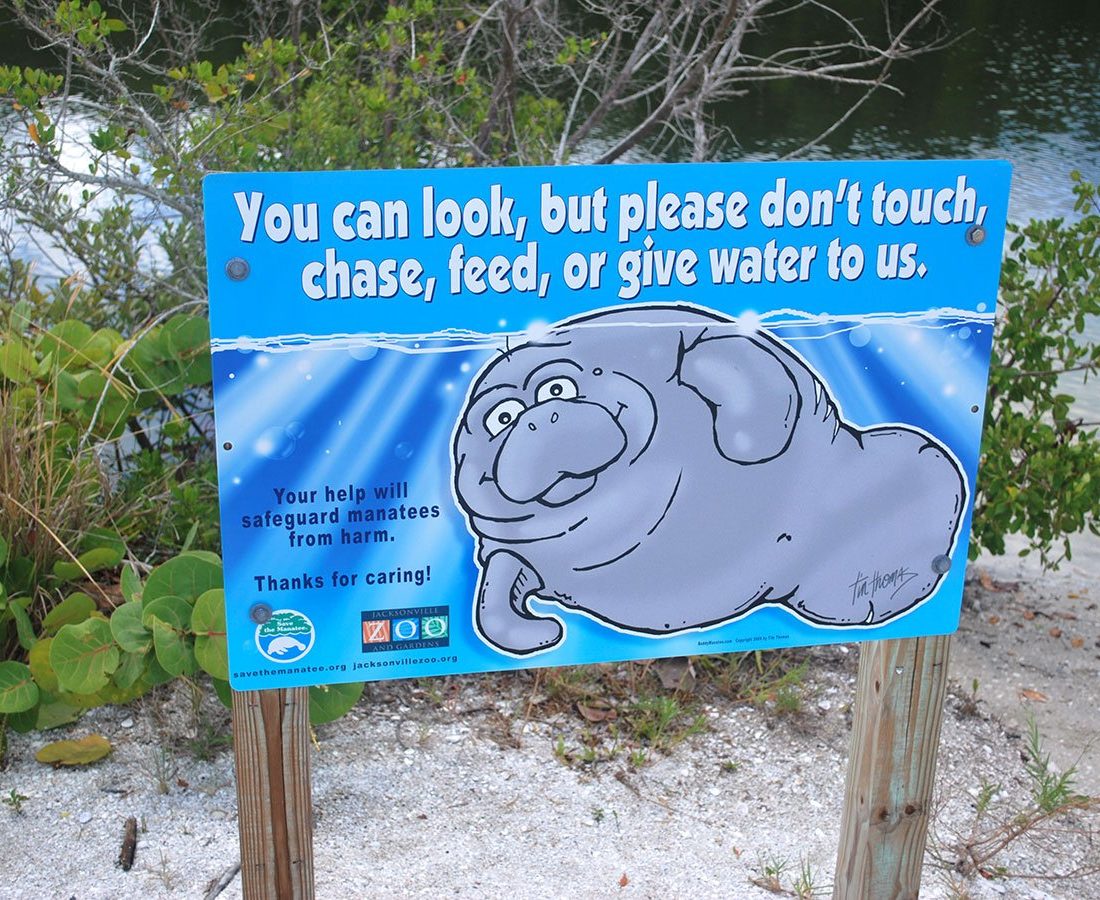 where-to-see-manatees-in-florida